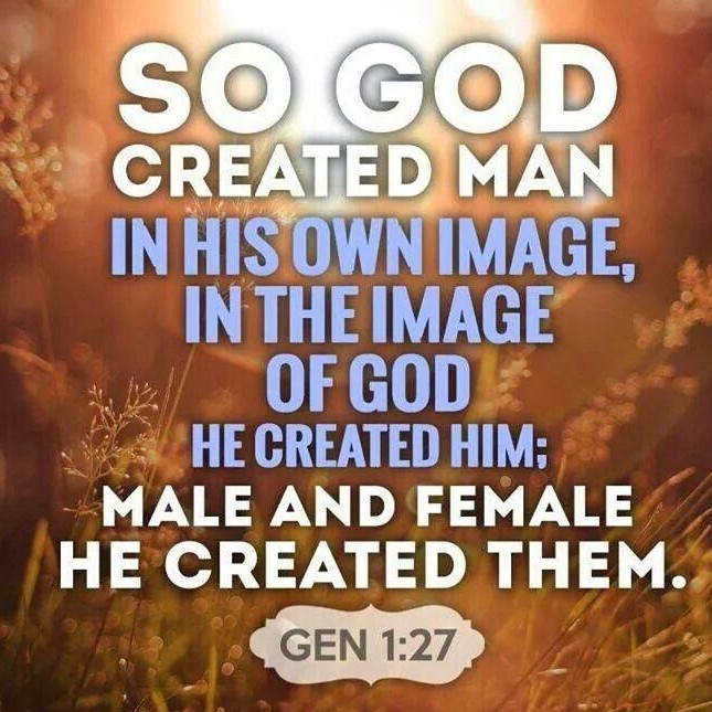 CREATED IN THE IMAGE OF GOD | Reflections from dr. dan…